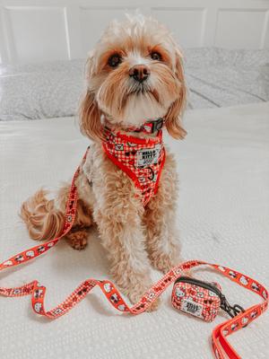 Show full view: Sassy Woof Hello Kitty Polyester Dog Leash, Red, 5-ft long, 4/5-in wide slide 6 of 7