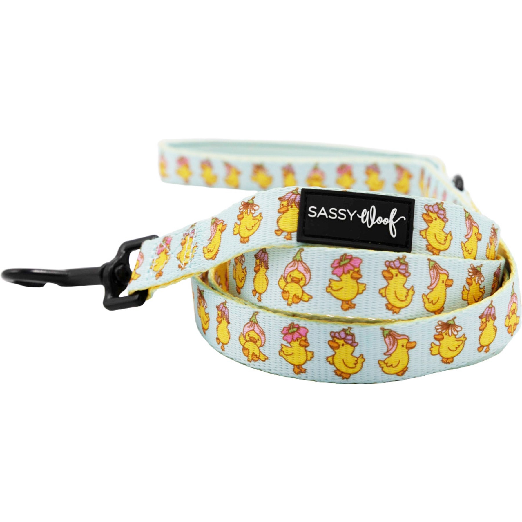 Sassy Woof Good Duck, Babe! Polyester Dog Leash, Blue, 5-ft long, 4/5-in wide