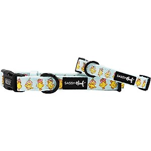 Sassy Woof Good Duck, Babe! Neoprene Standard Dog Collar, Blue, Small: 12-in neck, 1/2-in wide