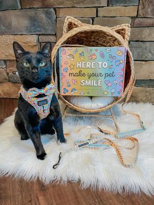 Show full view: Sassy Woof Good Duck, Babe! Polyester Cat Leash, Blue, 6-ft long, 0.6-in wide slide 4 of 4