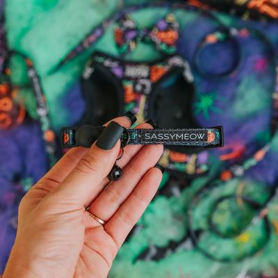 Show full view: Sassy Woof Neon Frights Neoprene Standard Cat Collar, Black, Small: 6 to 8-in neck, 2/5-in wide slide 5 of 6