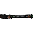Show in main carousel: Sassy Woof Neon Frights Neoprene Standard Cat Collar, Black, Medium: 8 to 12-in neck, 2/5-in wide slide 2 of 6