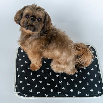 Show full view: The Green Pet Shop Disney Mickey/Minnie Cool Dog & Cat Pad, Black, Large slide 7 of 8