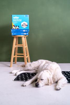 Show full view: The Green Pet Shop Disney Mickey/Minnie Cool Dog & Cat Pad, Black, Large slide 2 of 8