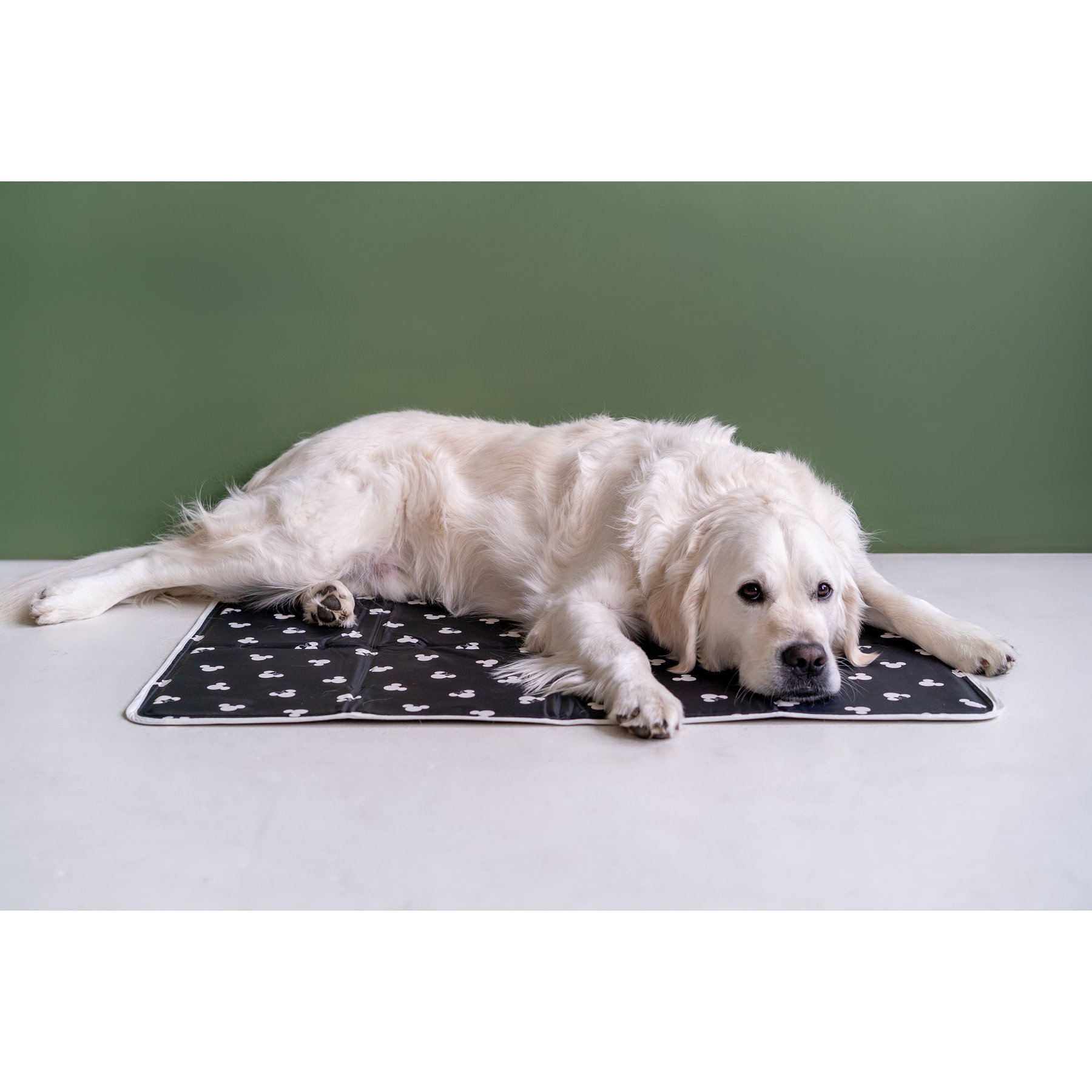 The Green Pet Shop Disney Mickey/Minnie Cool Dog & Cat Pad, Black, Medium
