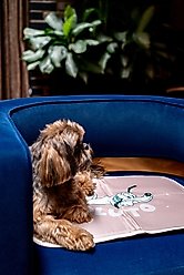 The Green Pet Shop Disney Pluto Cool Dog & Cat Pad, Brown, X-Large slide 2 of 7