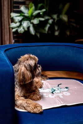 Show full view: The Green Pet Shop Disney Pluto Cool Dog & Cat Pad, Brown, Large slide 2 of 7