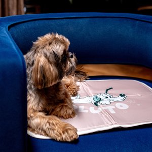 The Green Pet Shop Disney Pluto Cool Dog & Cat Pad, Brown, Medium