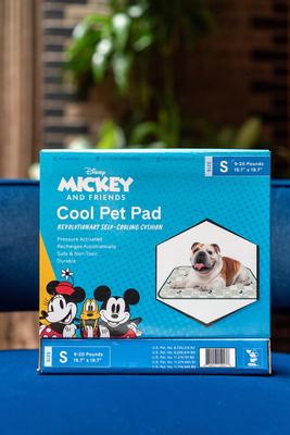 Show full view: The Green Pet Shop Disney Retro Micky Cool Dog & Cat Pad, Sage/Cream, X-Small slide 3 of 7