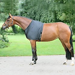 Back on Track Horse Riding Shoulder Guard & Pad, Black, 78-in slide 2 of 2