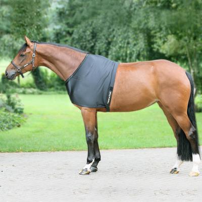 Show full view: Back on Track Horse Riding Shoulder Guard & Pad, Black, 81-in slide 2 of 2