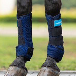 Back on Track Cool on Track Quick Horse Wraps, Blue, Medium