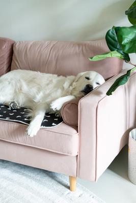 Show full view: The Green Pet Shop Disney Mickey/Minnie Cool Dog & Cat Pad, Black, Large slide 4 of 8