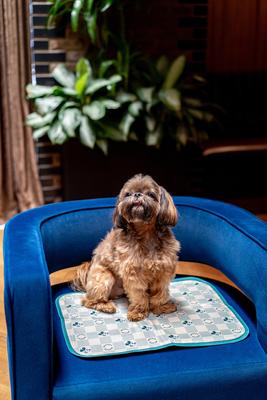 Show full view: The Green Pet Shop Disney Retro Micky Cool Dog & Cat Pad, Sage/Cream, Small slide 5 of 6