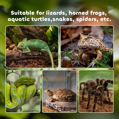 Show full view: PawHut Glass Reptile Terrarium with Sliding Screen Top, 14-gal slide 7 of 9