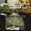 Show in main carousel: PawHut Glass Reptile Terrarium with Sliding Screen Top, 14-gal slide 9 of 9