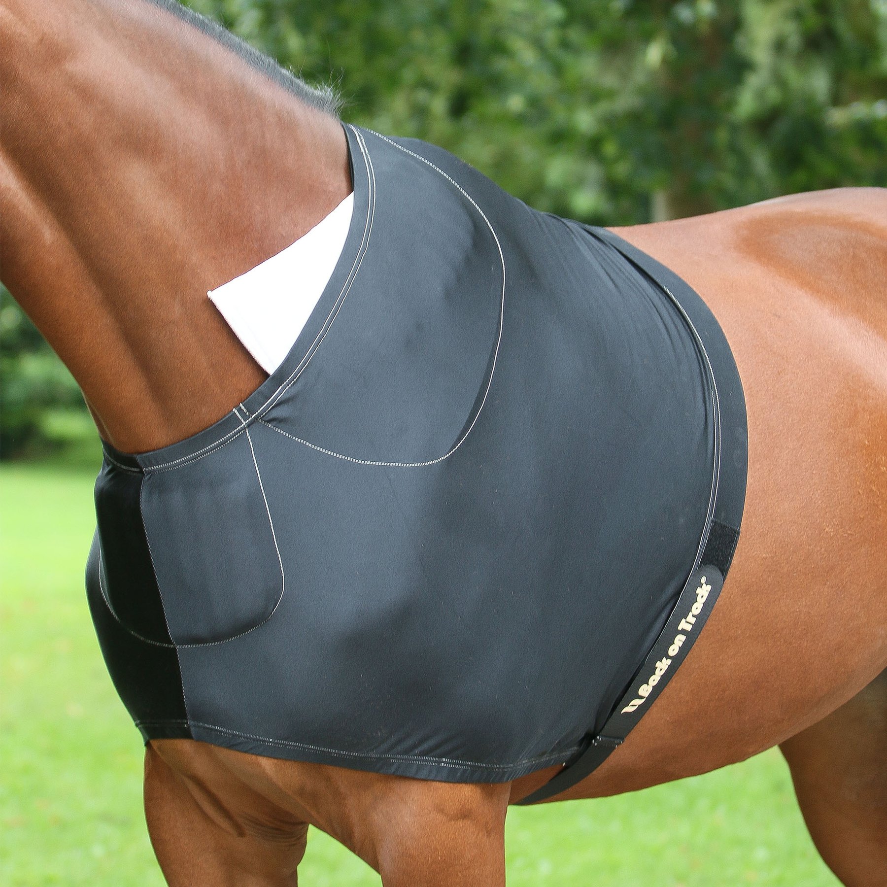 Back on Track Horse Riding Shoulder Guard & Pad, Black, 69-in