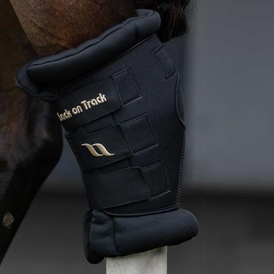 Show full view: Back on Track Royal Padded Hock Horse Boots Deluxe with Holes, Black, X-Large slide 5 of 6