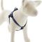 Show in main carousel: LupinePet ECO Recycled Step In Dog Harness, Mountain Lake, Small: 15 to 21-in chest slide 1 of 6