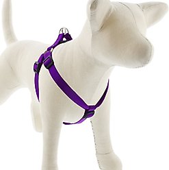 LupinePet Basic Solid Step In Dog Harness, Purple, Medium/Large: 20 to 30-in chest