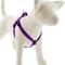 Show in main carousel: LupinePet Basic Solid Step In Dog Harness, Purple, Small: 15 to 21-in chest slide 1 of 6