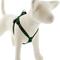 Show in main carousel: LupinePet Basic Solid Step In Dog Harness, Green, Medium/Large: 20 to 30-in chest slide 1 of 7
