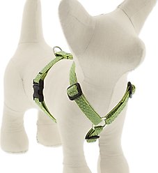 LupinePet ECO Recycled Adjustable Dog Harness, Moss, Small: 12 to 20-in chest, 1/2-in wide