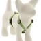 Show in main carousel: LupinePet ECO Recycled Adjustable Dog Harness, Moss, Small: 12 to 20-in chest, 1/2-in wide slide 1 of 7