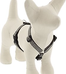 LupinePet ECO Recycled Adjustable Dog Harness, Granite, Small: 12 to 20-in chest, 1/2-in wide