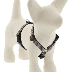 LupinePet ECO Recycled Adjustable Dog Harness, Granite, Small: 12 to 20-in chest, 1/2-in wide