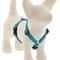 Show in main carousel: LupinePet ECO Recycled Adjustable Dog Harness, Tropical Sea, X-Small: 9 to 14-in chest, 1/2-in wide slide 1 of 6