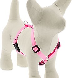 LupinePet Basic Solid Adjustable Dog Harness, Pink, Small: 12 to 20-in chest, 1/2-in wide
