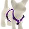 Show in main carousel: LupinePet Basic Solid Adjustable Dog Harness, Purple, X-Small: 9 to 14-in chest, 1/2-in wide slide 1 of 8