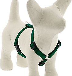 LupinePet Basic Solid Adjustable Dog Harness, Green, Small: 12 to 20-in chest, 1/2-in wide