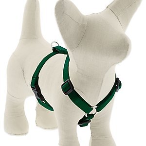 LupinePet Basic Solid Adjustable Dog Harness, Green, X-Small: 9 to 14-in chest, 1/2-in wide