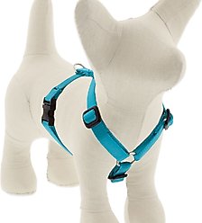 LupinePet Basic Solid Adjustable Dog Harness, Aqua, X-Small: 9 to 14-in chest, 1/2-in wide