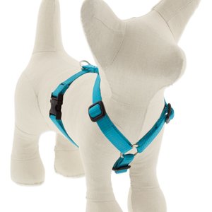 LupinePet Basic Solid Adjustable Dog Harness, Aqua, X-Small: 9 to 14-in chest, 1/2-in wide