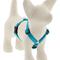 Show in main carousel: LupinePet Basic Solid Adjustable Dog Harness, Aqua, X-Small: 9 to 14-in chest, 1/2-in wide slide 1 of 7