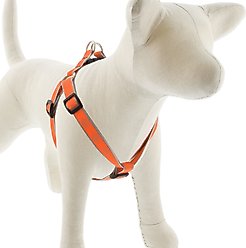 LupinePet Reflective Diamonds Step In Dog Harness, Orange Diamond, Medium/Large: 20 to 30-in chest, 3/4-in wide