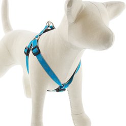 LupinePet Reflective Diamonds Step In Dog Harness, Blue Diamond, Medium/Large: 20 to 30-in chest, 3/4-in wide