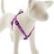 Show in main carousel: LupinePet Reflective Paws Step In Dog Harness, Pink Paws, Medium/Large: 20 to 30-in chest, 3/4-in wide slide 1 of 6