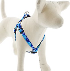 LupinePet Reflective Paws Step In Dog Harness, Blue Paws, Small: 15 to 21-in chest, 3/4-in wide