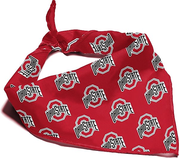 Show full view: ShopInstaPets Ohio State Buckeyes Dog Bandana, Large slide 1 of 4