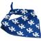 Show in main carousel: ShopInstaPets Kentucky Wildcats Dog Bandana, Small slide 1 of 5