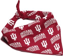 ShopInstaPets Indiana Hoosiers Dog Bandana, Small