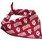 Show in main carousel: ShopInstaPets Indiana Hoosiers Dog Bandana, Small slide 1 of 5