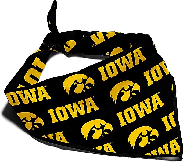 Show full view: ShopInstaPets Iowa Hawkeyes Dog Bandana, Large slide 1 of 5