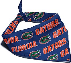 ShopInstaPets Florida Gators Dog Bandana, Large