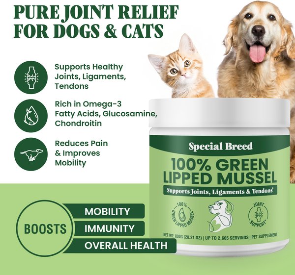 No Brand Pet Supplies Green Lipped Mussel Powder for Dogs, 17-oz bottle