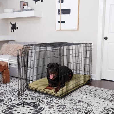 Happy Hounds Happy Hounds Carson Deluxe Dog Crate Pad, Moss, 48-in